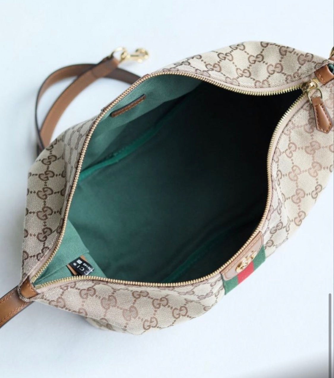 The GG Vanity bag