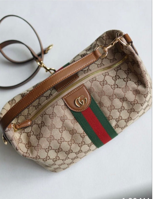 The GG Vanity bag