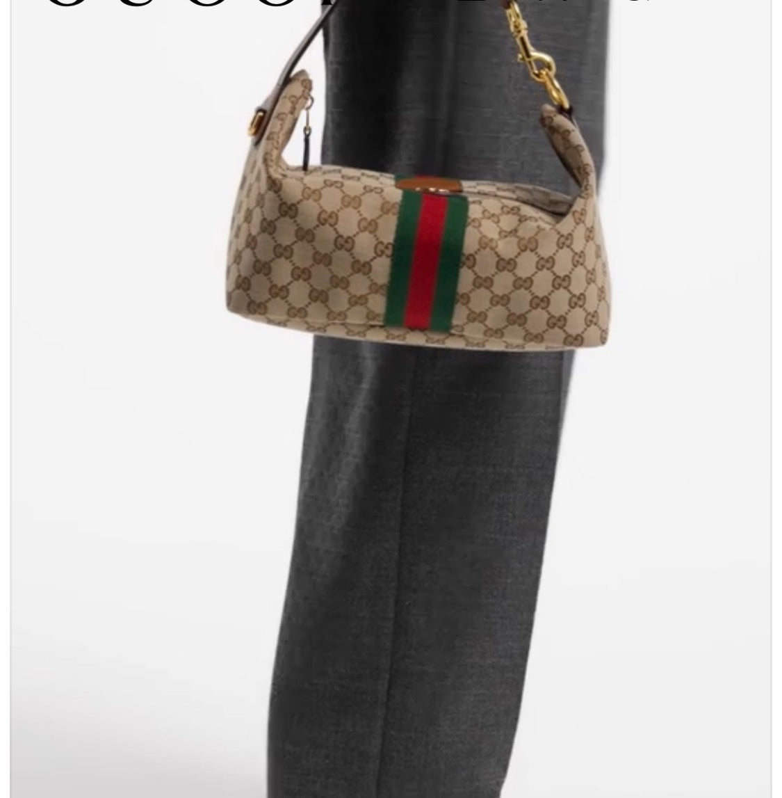 The GG Vanity bag