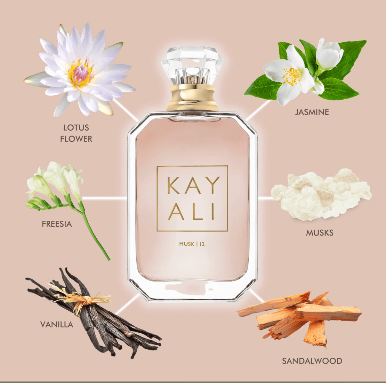 Musk 12 Inspired by Kayali Fragrances DUPE